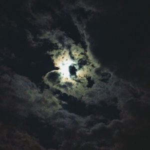 Meet your Posher, Ella